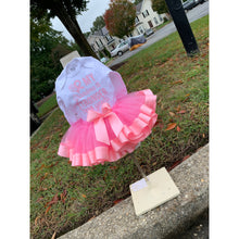 Load image into Gallery viewer, Breast Cancer Tutu Set
