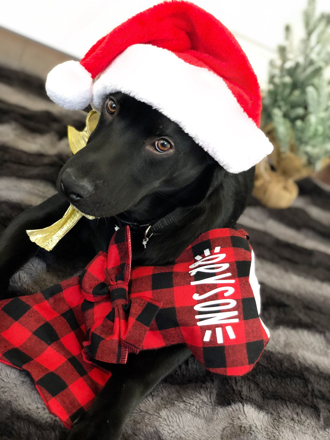 Christmas Stocking For Dogs