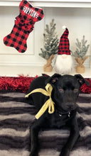 Load image into Gallery viewer, Christmas Stocking For Dogs
